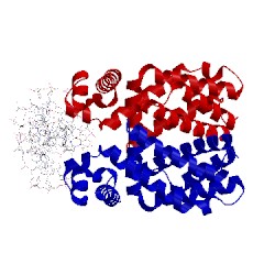 Image of CATH 5fmp