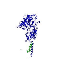 Image of CATH 5fn3
