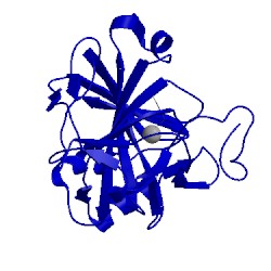 Image of CATH 5fng