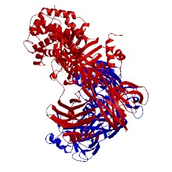 Image of CATH 5fo7