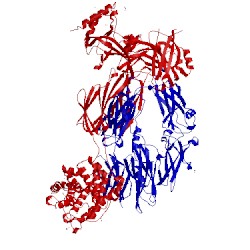 Image of CATH 5fo8