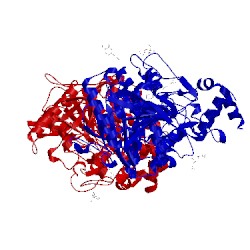 Image of CATH 5foq