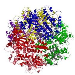 Image of CATH 5fph