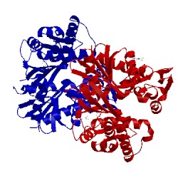 Image of CATH 5fpn