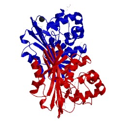 Image of CATH 5fq9