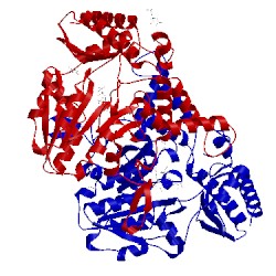 Image of CATH 5ft4