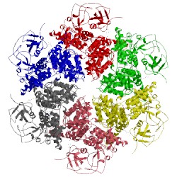 Image of CATH 5ftj