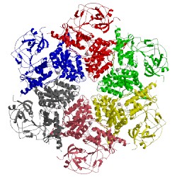 Image of CATH 5ftm