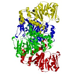 Image of CATH 5ftv