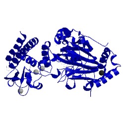 Image of CATH 5fup