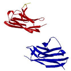 Image of CATH 5fv1
