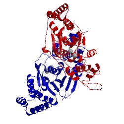 Image of CATH 5fv7