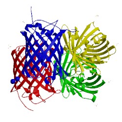 Image of CATH 5fvf