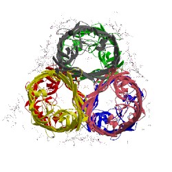 Image of CATH 5fvn