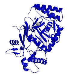 Image of CATH 5fvo