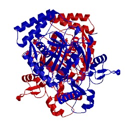 Image of CATH 5fvv