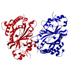 Image of CATH 5fw4