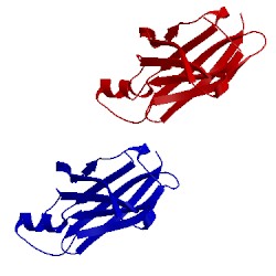 Image of CATH 5fw8