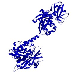 Image of CATH 5fwi
