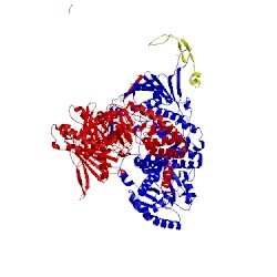 Image of CATH 5fwk