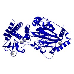 Image of CATH 5fy9
