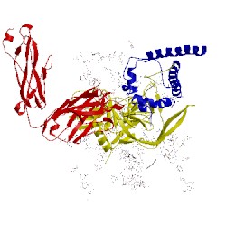 Image of CATH 5fyl