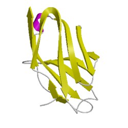 Image of CATH 5fylE01