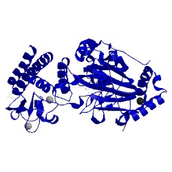 Image of CATH 5fz8