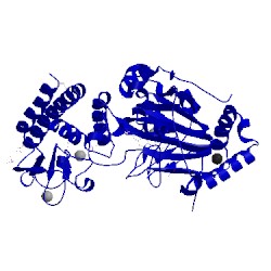 Image of CATH 5fzb