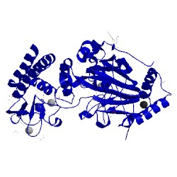 Image of CATH 5fzf