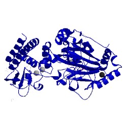 Image of CATH 5fzi