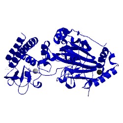 Image of CATH 5fzk