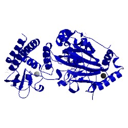 Image of CATH 5fzm