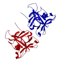 Image of CATH 5fzy