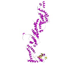 Image of CATH 5g04N