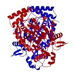 Image of CATH 5g0p