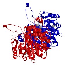 Image of CATH 5g17