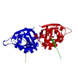 Image of CATH 5g1d