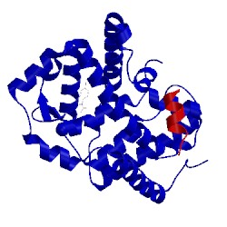 Image of CATH 5g42