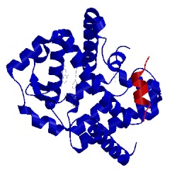 Image of CATH 5g44