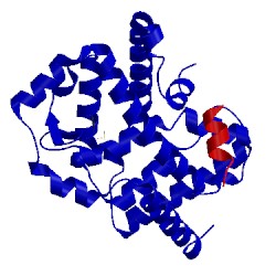Image of CATH 5g45
