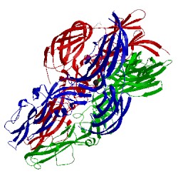Image of CATH 5g47