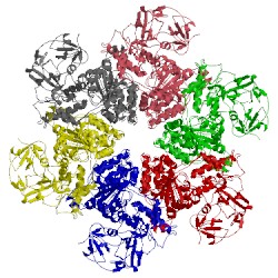 Image of CATH 5g4g