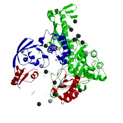 Image of CATH 5g5g