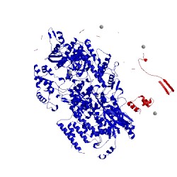Image of CATH 5g5l
