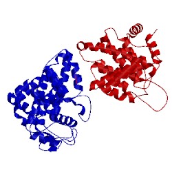 Image of CATH 5g5p