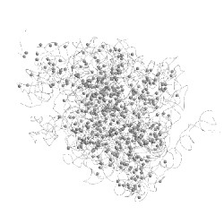 Image of CATH 5gaf
