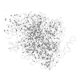Image of CATH 5gag