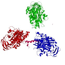 Image of CATH 5gas
