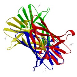 Image of CATH 5ghl